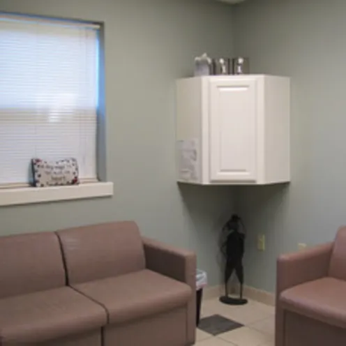 Poquoson Veterinary Hospital Consultation Room. There's a sofa and love seat for customers to sit in the room. 